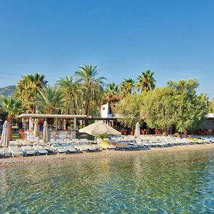 Hotel Selvi